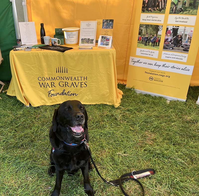 A black labrador sitting in front of a yellow CWGF exhibition stand.