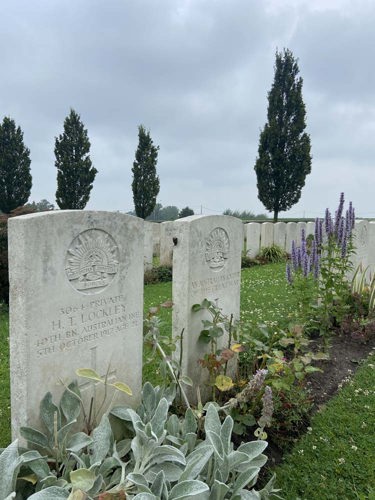 War graves of Australian soldiers at Tyne Cot Cemetery. A row of tall trees can be seen in the background.