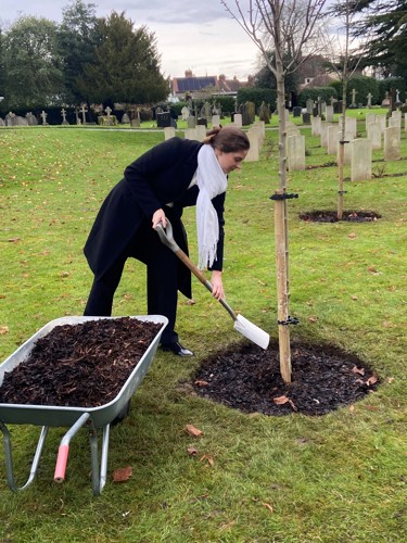 Maple leaf trust member Ashley planting a Maple tree in Stratford-upon-Avon Cemetery.